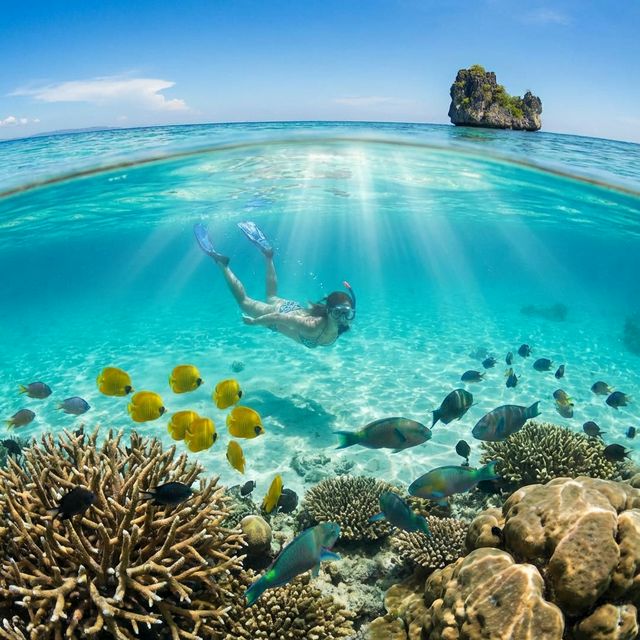 Snorkeling in crystal clear water with colorful tropical fish and coral reef